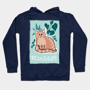 Russet the chonky orange cat Hoodie